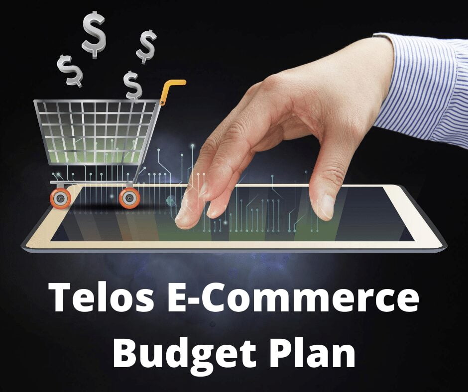budget eCommerce Website Budget Yearly Plan